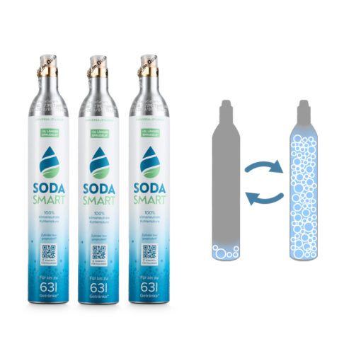 Tausch-Box drei CO2 Zylinder für SodaStream mit Universalventil im Austausch gegen Leerzylinder