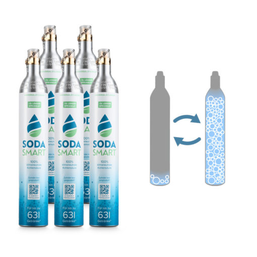 Tausch-Box fünf CO2 Zylinder für SodaStream mit Universalventil im Austausch gegen Leerzylinder